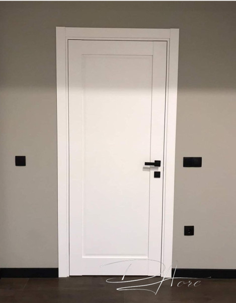 Двері модель 401 ПГ