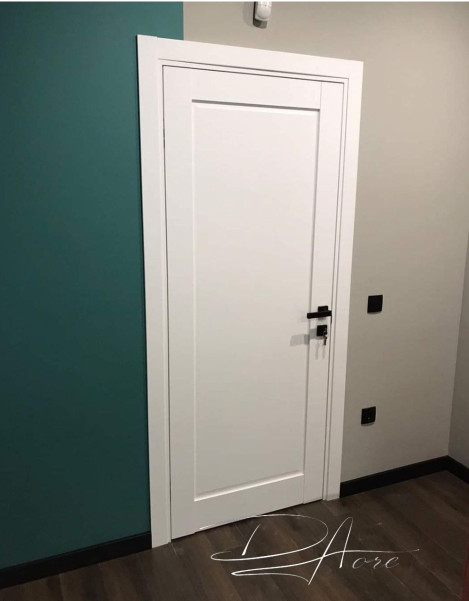 Двері модель 401 ПГ