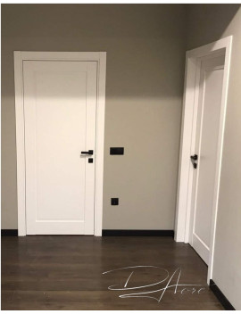 Двері модель 401 ПГ