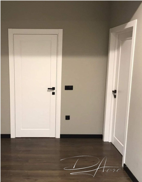 Двері модель 401 ПГ