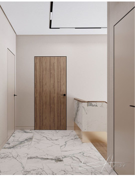 Двері прихованого монтажу 45мм