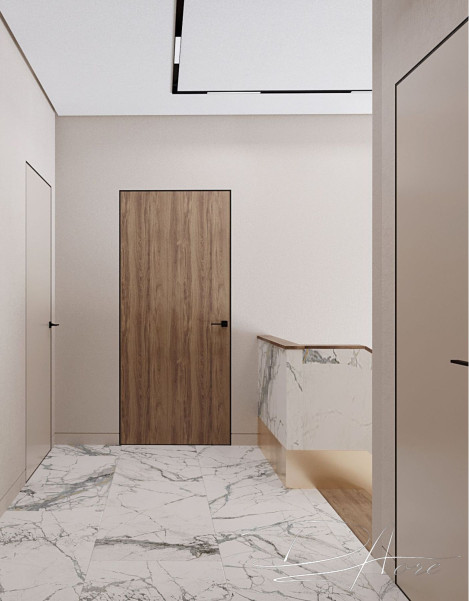 Двері прихованого монтажу 45мм