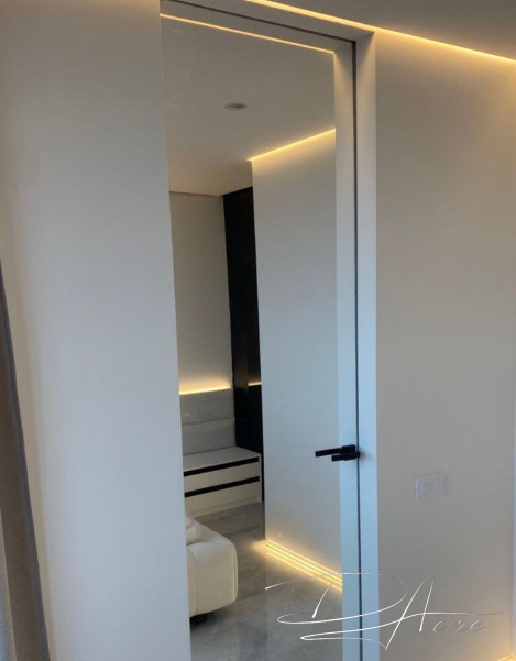 Двері прихованого монтажу 50мм