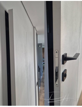 Двері прихованого монтажу Економ