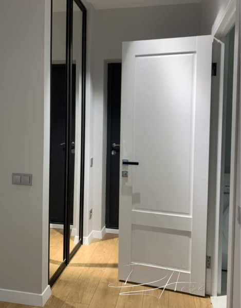 Двері модель 402 ПГ