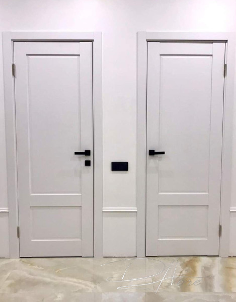 Двері модель 402 ПГ