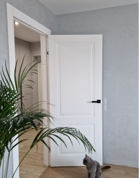 Міжкімнатні двері Estet Doors Grand 1D 1.1