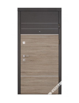 Двері Страж Synergy Torino