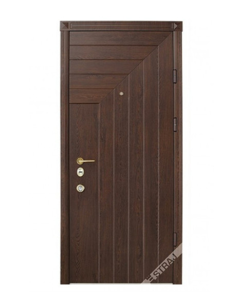 Двері Страж Synergy Tokio