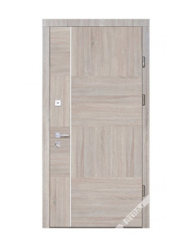 Двері Страж Synergy Terra S