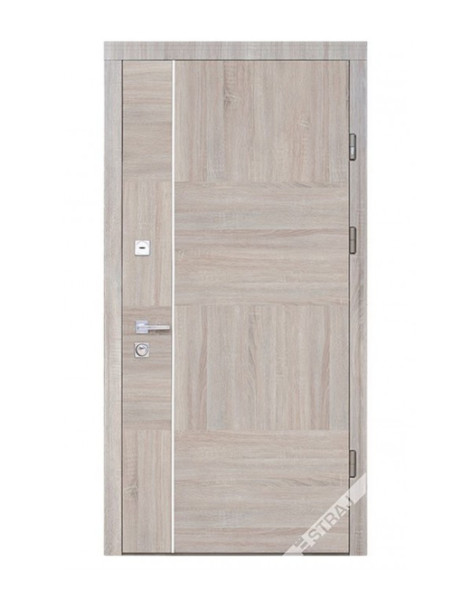 Двері Страж Synergy Terra S