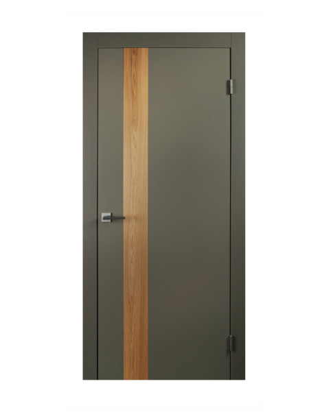 Двері Forest 2