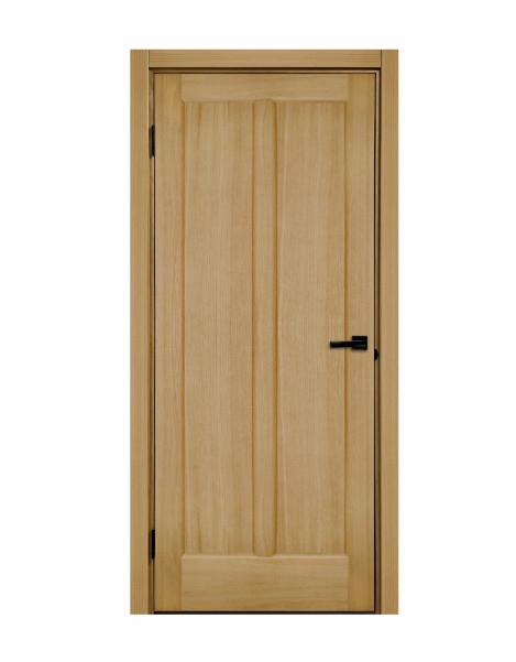 Двері Дельта ПГ