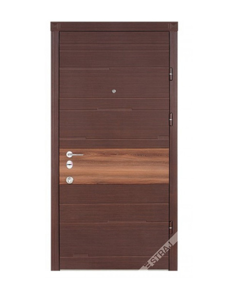 Двері Страж Synergy Tempo