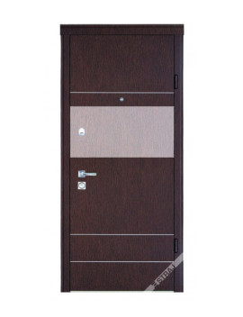 Двері Страж Synergy Bravis