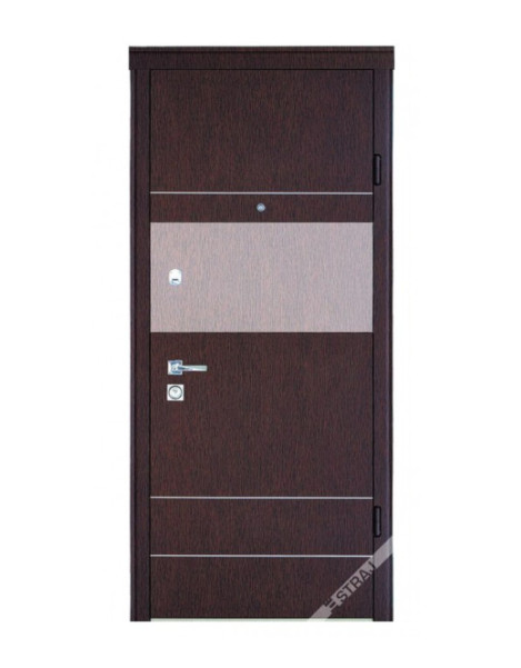Двері Страж Synergy Bravis