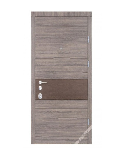 Двері Страж Synergy Tempo