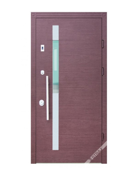 Двері Страж Synergy Delta Al