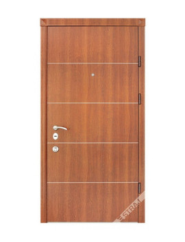 Двері Страж Synergy Solo