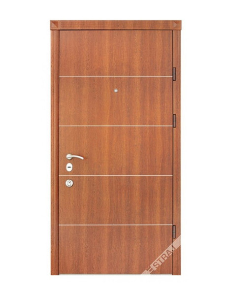 Двері Страж Synergy Solo