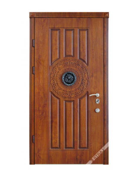 Двері Страж Classic R36