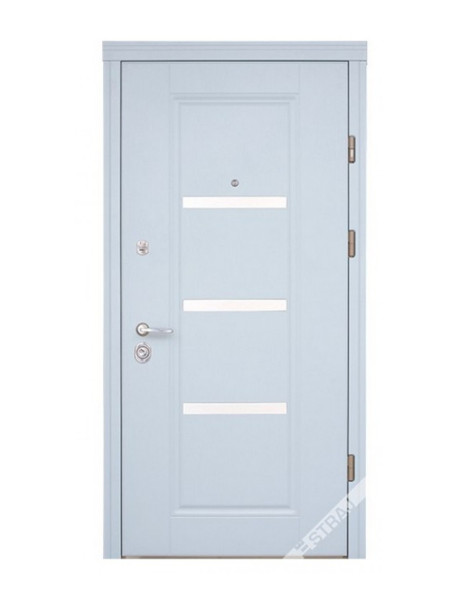 Двері Страж Synergy Vena Al