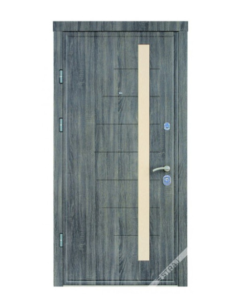 Двері Страж Synergy Delta Al
