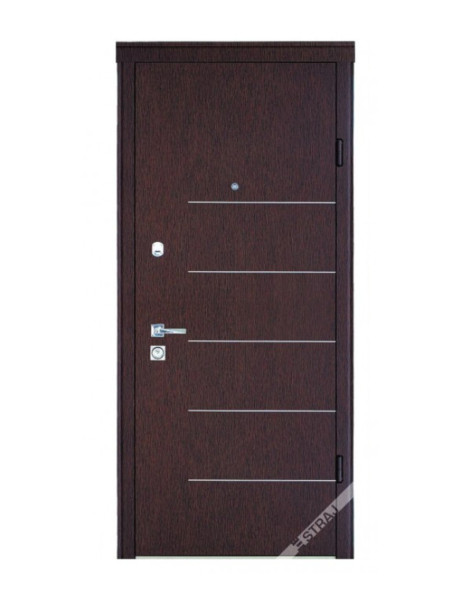 Двері Страж Synergy Porte