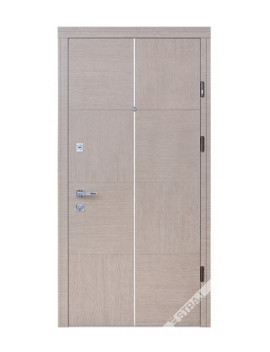 Двері Страж Synergy Terra