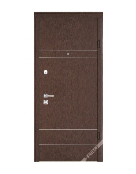 Двері Страж Synergy Bravis
