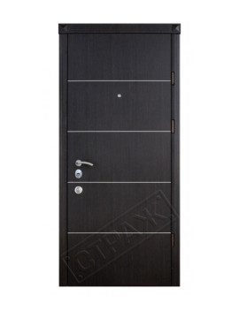 Двері Страж Synergy Solo