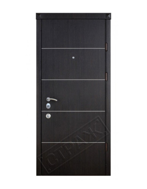 Двері Страж Synergy Solo