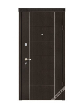 Двері Страж Synergy Parallel