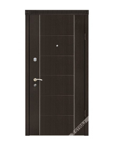 Двері Страж Synergy Parallel