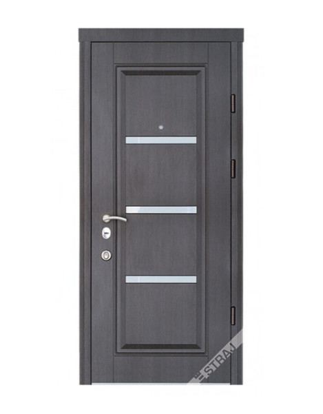 Двері Страж Synergy Vena Al