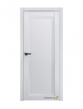 Двері модель 401 ПГ