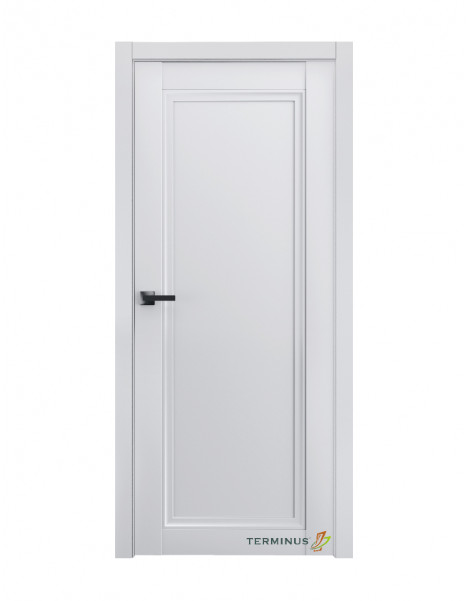 Двері модель 401 ПГ